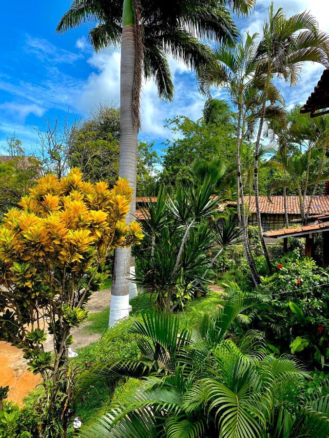Chales Magia Da Pipa Apartment Praia de Pipa Екстериор снимка